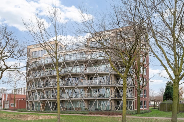 Octogoon 17 in Boxtel foto