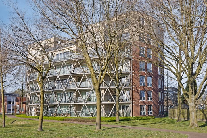 Octogoon 36 in Boxtel foto