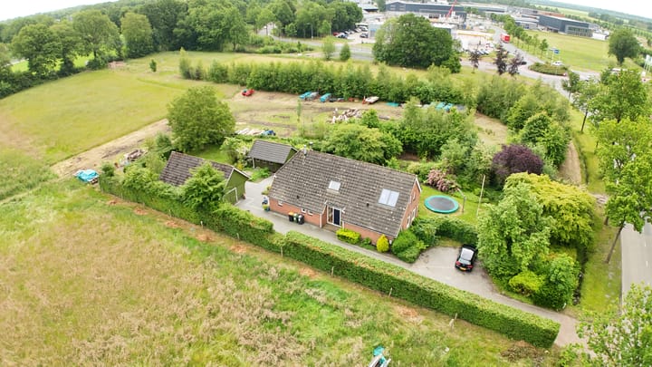 Oelenboom 7 in Gieten foto
