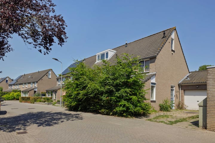 Oeverzwaluw 1 in 's-Hertogenbosch foto