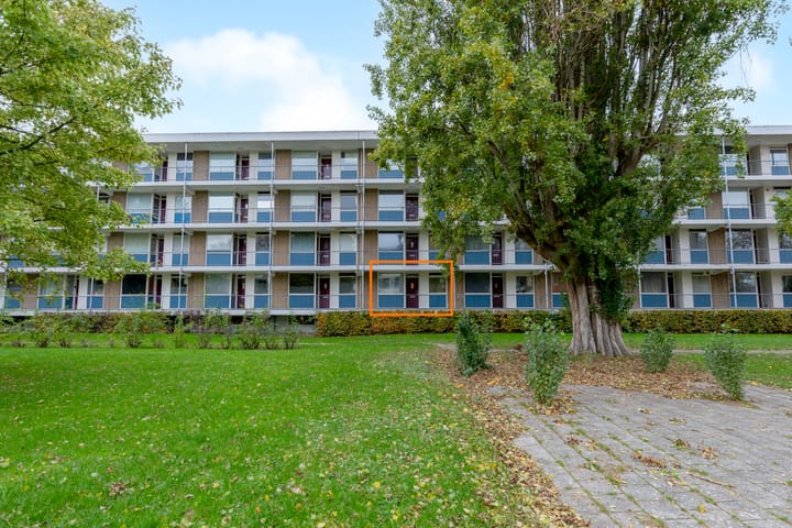 Ogierssingel 113 in Rotterdam foto