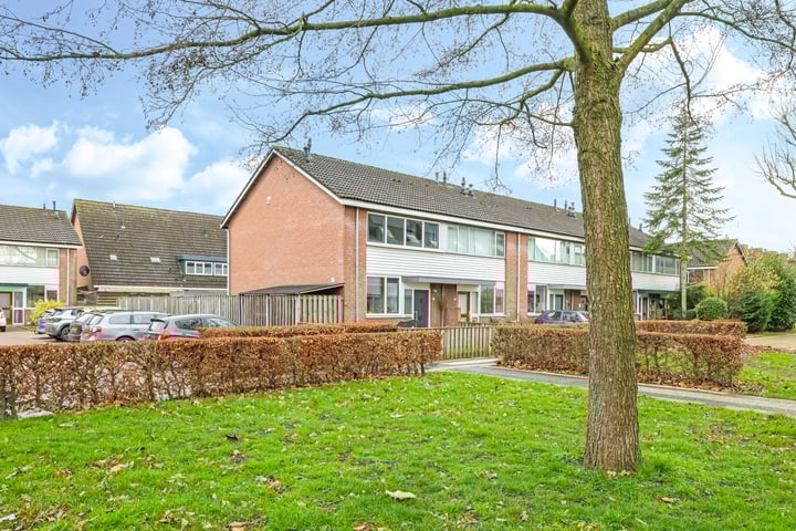 Oldenhof 100 in Driel foto