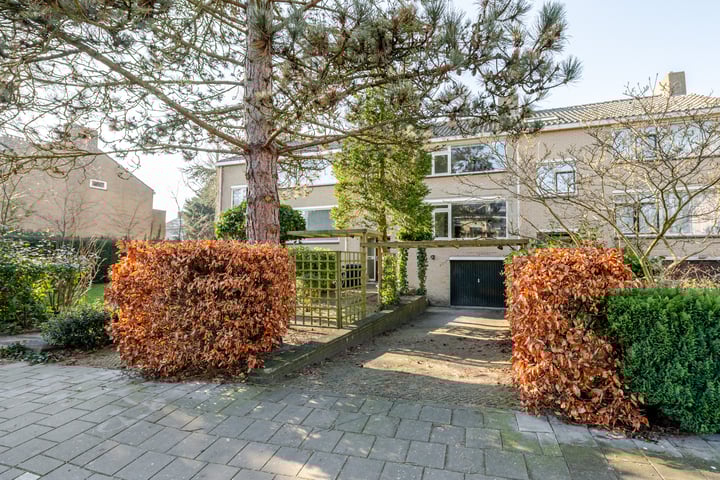 Olgaland 3 in 's-Gravenhage foto