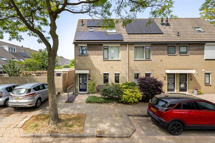 Oliemolen 3 in Alphen aan den Rijn foto