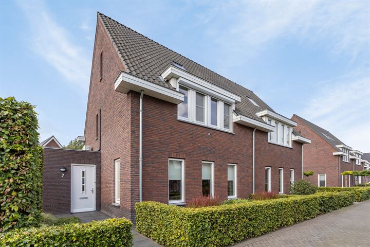 Olievlas 7 in Asten foto