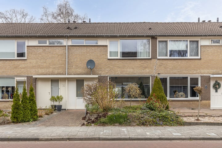 Omloop 37 in Stadskanaal