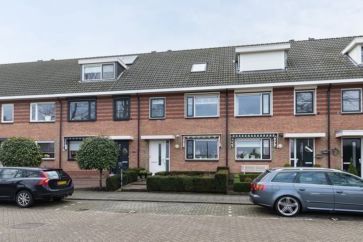 Ooievaar 118 in Nieuw-Lekkerland foto