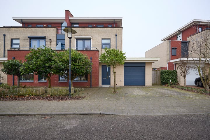Ooievaar 5 in Terneuzen foto