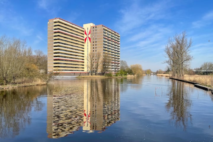Oost-Dorsch 15 in Zaandam foto