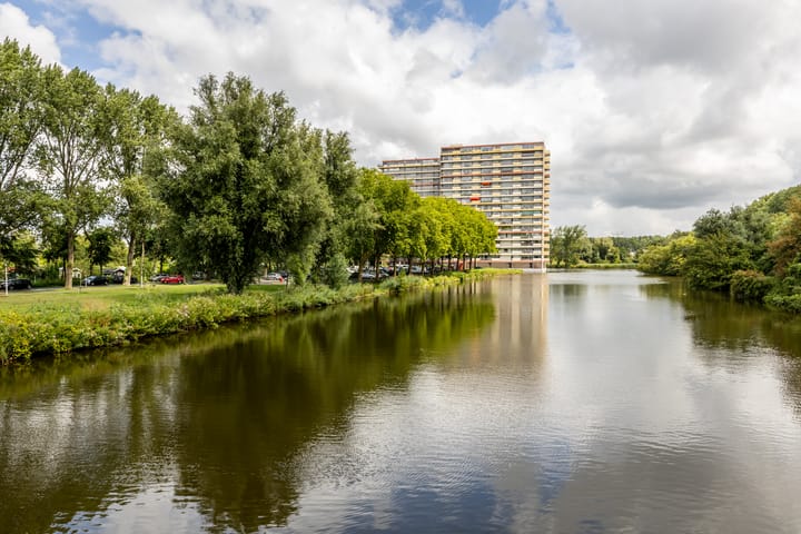Oost-Dorsch 156 in Zaandam