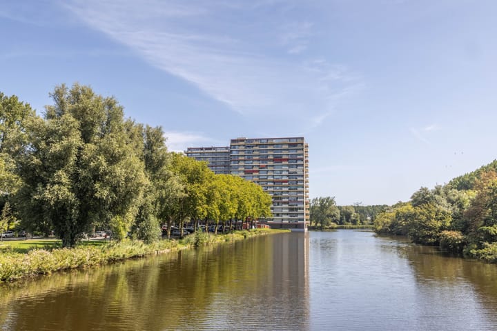 Oost-Dorsch 42 in Zaandam foto