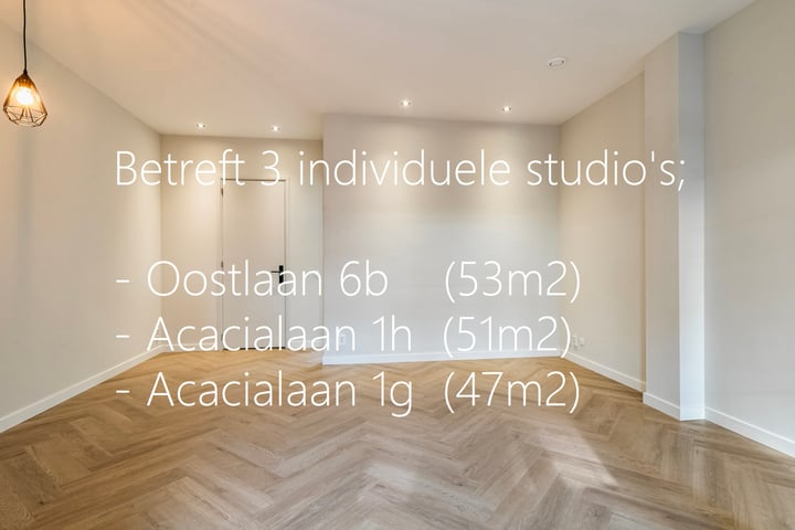 Oostlaan 6b in Pijnacker foto