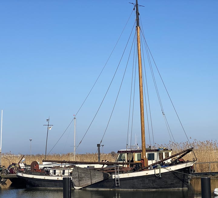 Oostvaardersdijk 99012 in Lelystad