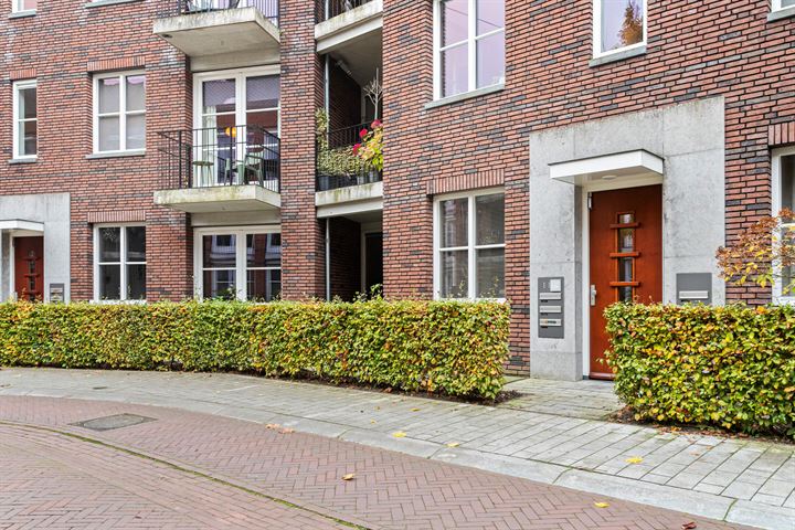 Oranjebloesem 50 in Best foto