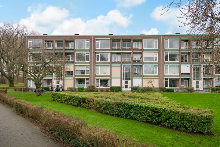 Orchislaan 3-4 in Arnhem foto