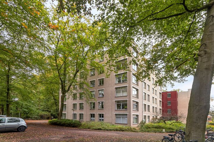 Oude Graafseweg 253 in Nijmegen foto