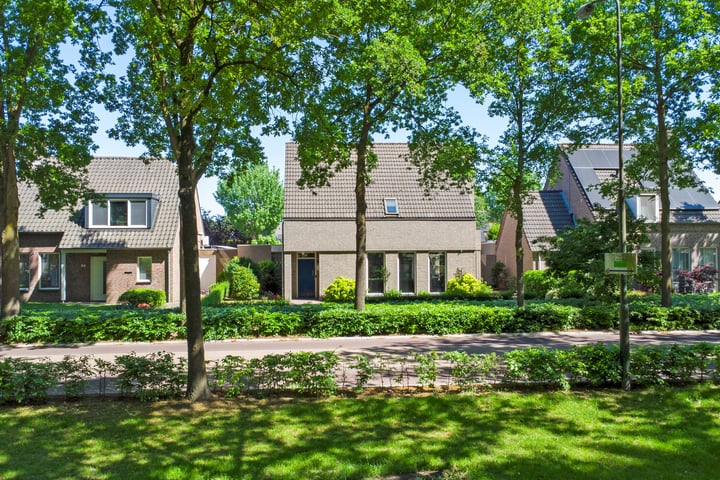 Oude Provincialeweg 20 in Hapert foto