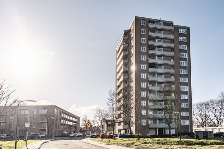 P.C. Boutensstraat 195 in Haarlem foto