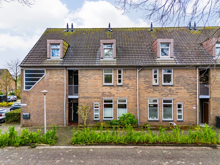 Paardebloem 105 in Zwaag foto