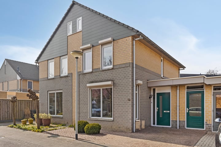 Paardebloem 42 in Deurne foto