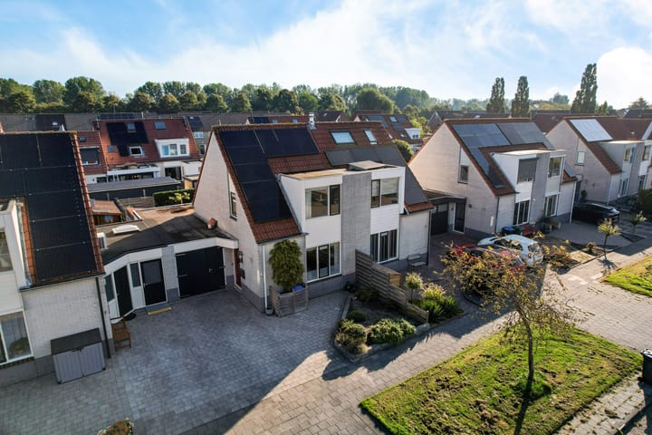 Paardebloem 9 in Sneek foto