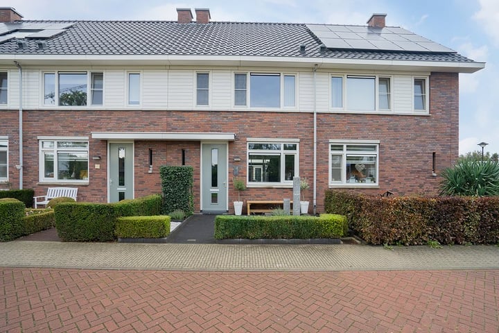 Paardenbloem 18 in Ruurlo foto