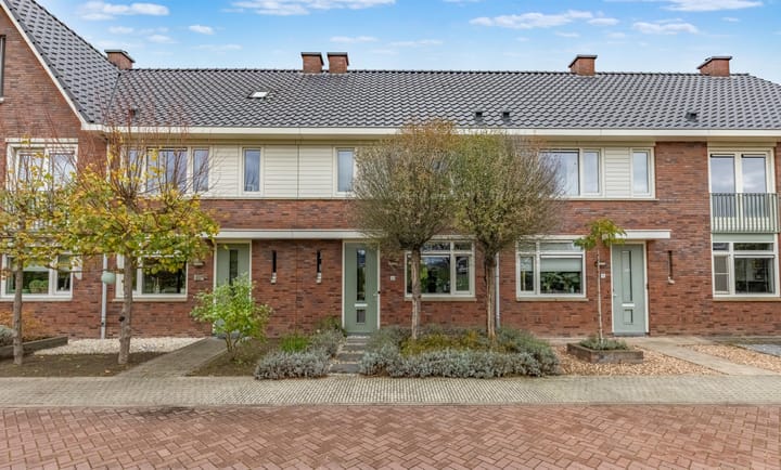 Paardenbloem 6 in Ruurlo foto