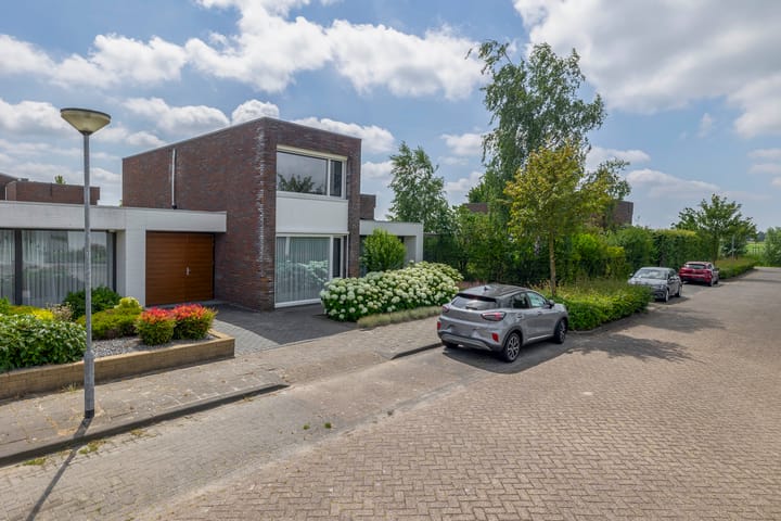Paardenbloem 7 in Zevenbergen