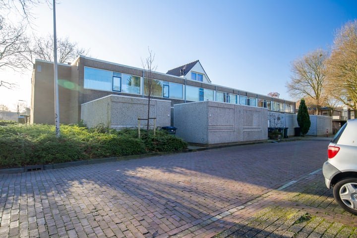 Palestrina 12 in Naaldwijk foto