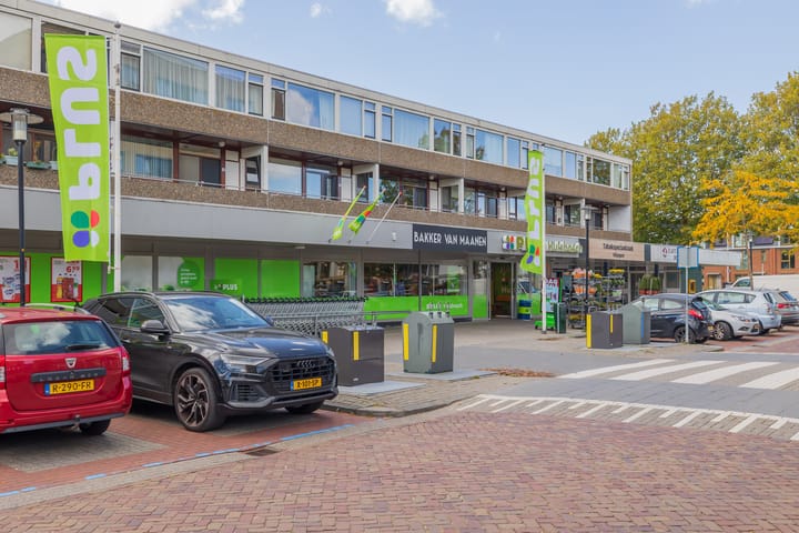 Palet 20 in Hillegom