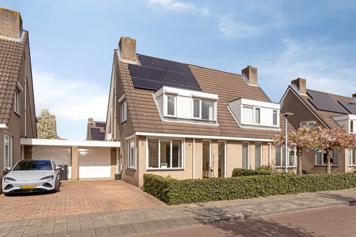 Palissade 36 in Zaltbommel
