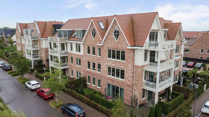 Palissanderhout 100 in Waddinxveen foto