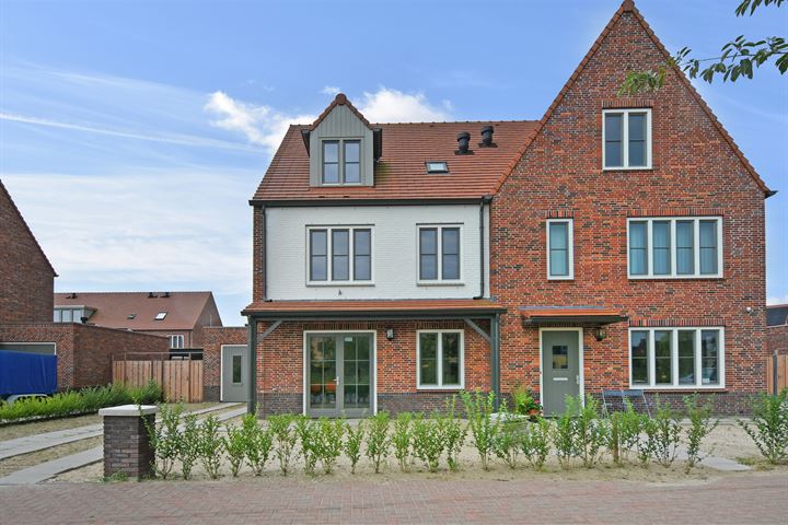 Palissanderhout 124 in Waddinxveen foto
