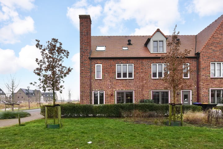 Palissanderhout 30 in Waddinxveen foto