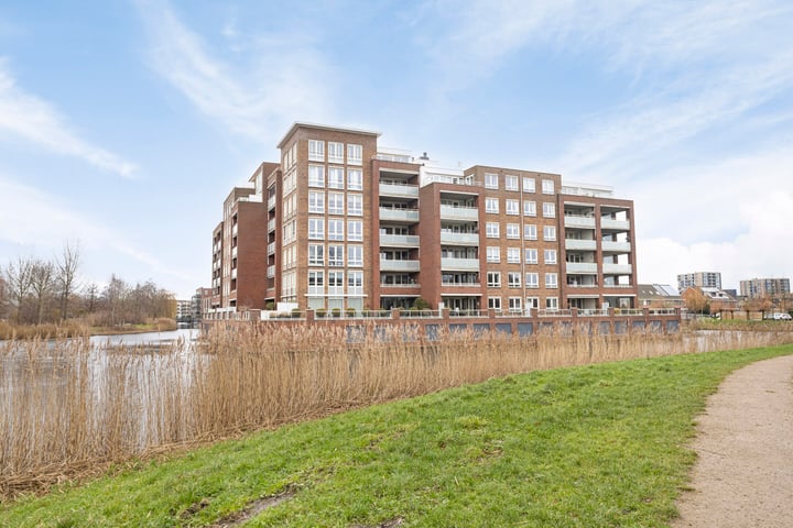 Palissanderhout 32 in Barendrecht foto