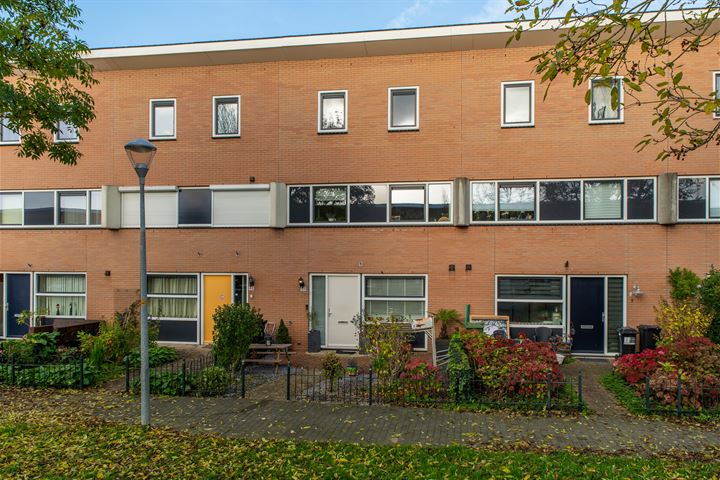 Palmestein 50 in Nieuw-Vennep foto