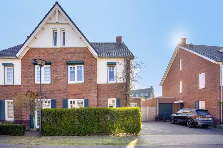 Pampas 11 in Vlijmen foto