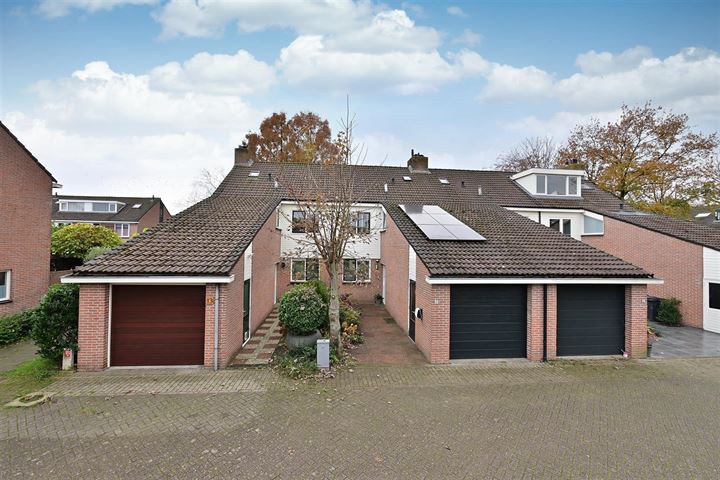 Pampus 15 in Loosdrecht foto