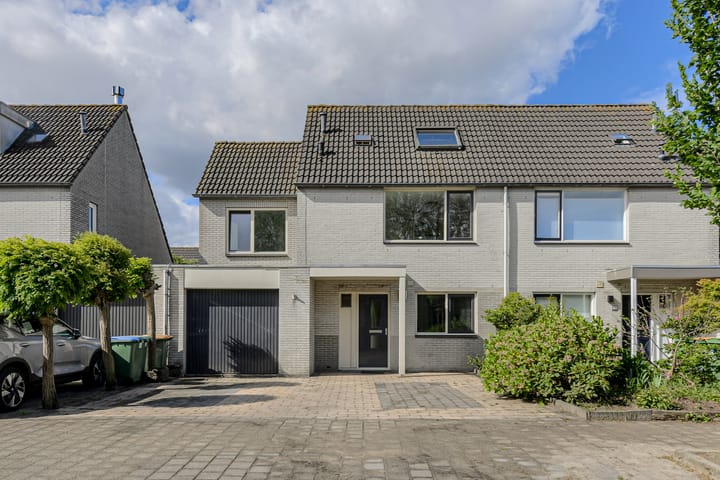 Papegaai 40 in Breda foto