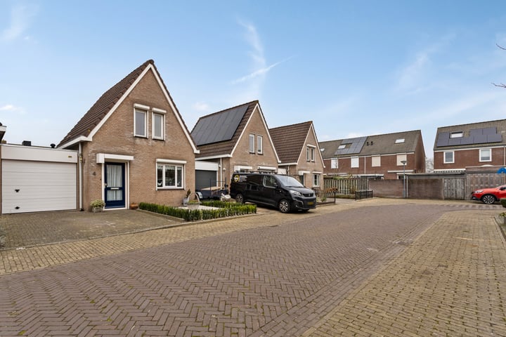 Parelhoen 4 in Heinkenszand foto