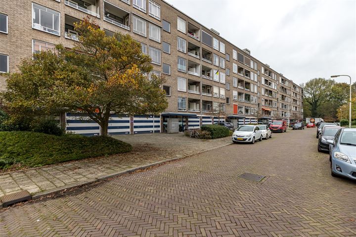Parelmoerhorst 246 in 's-Gravenhage foto