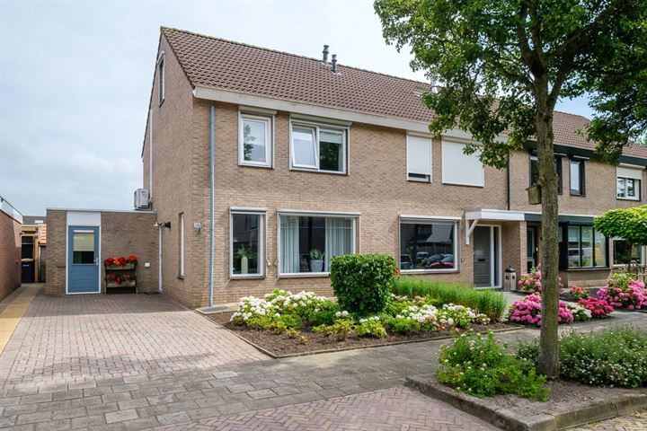 Pastinaak 20 in Genemuiden foto