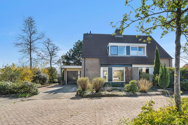 Pastinaak 9 in Nijverdal foto