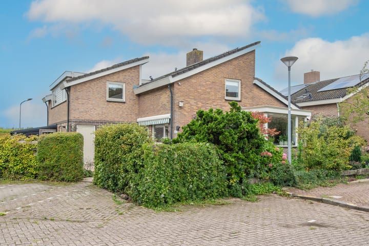 Patrijs 42 in Ursem foto