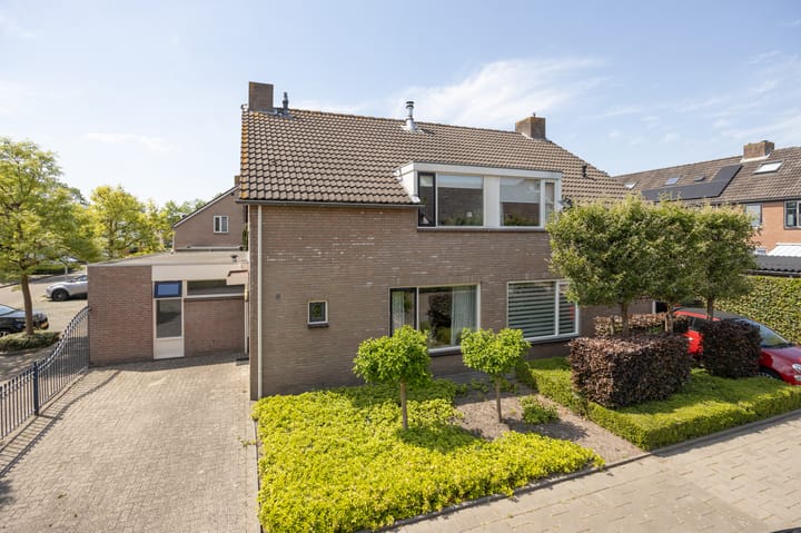 Patrijs 6 in Etten-Leur foto