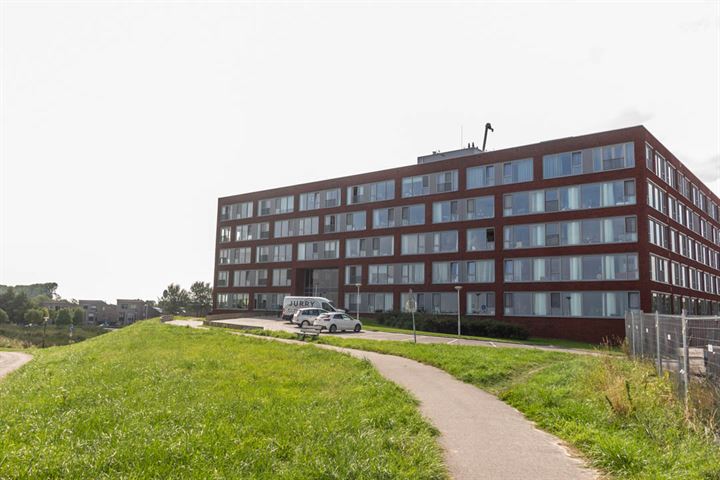 Pattistpark 174 in Terneuzen foto
