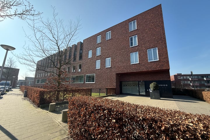 Paulus Potterstraat 16 in Eindhoven