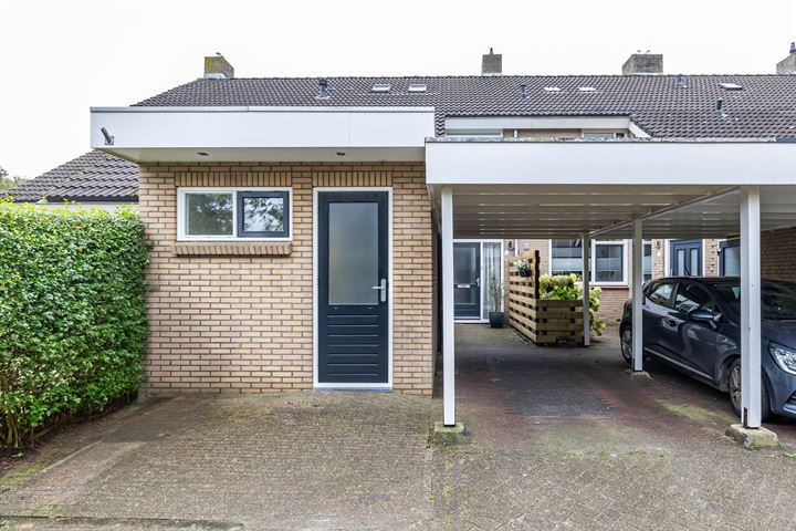 Peerdewask 3 in Winsum foto