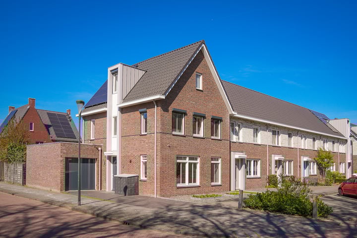 Pegasus 1 in Schijndel foto