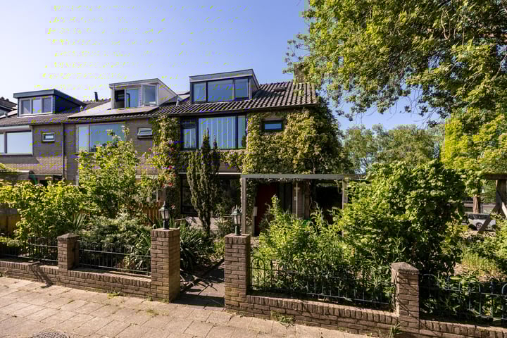 Pelléaspad 1 in Amersfoort foto